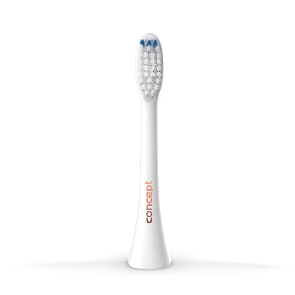 concept-zk0051-daily-clean-b-rstenk-pfe-4-st-ck-schwarz-zk500x image 4